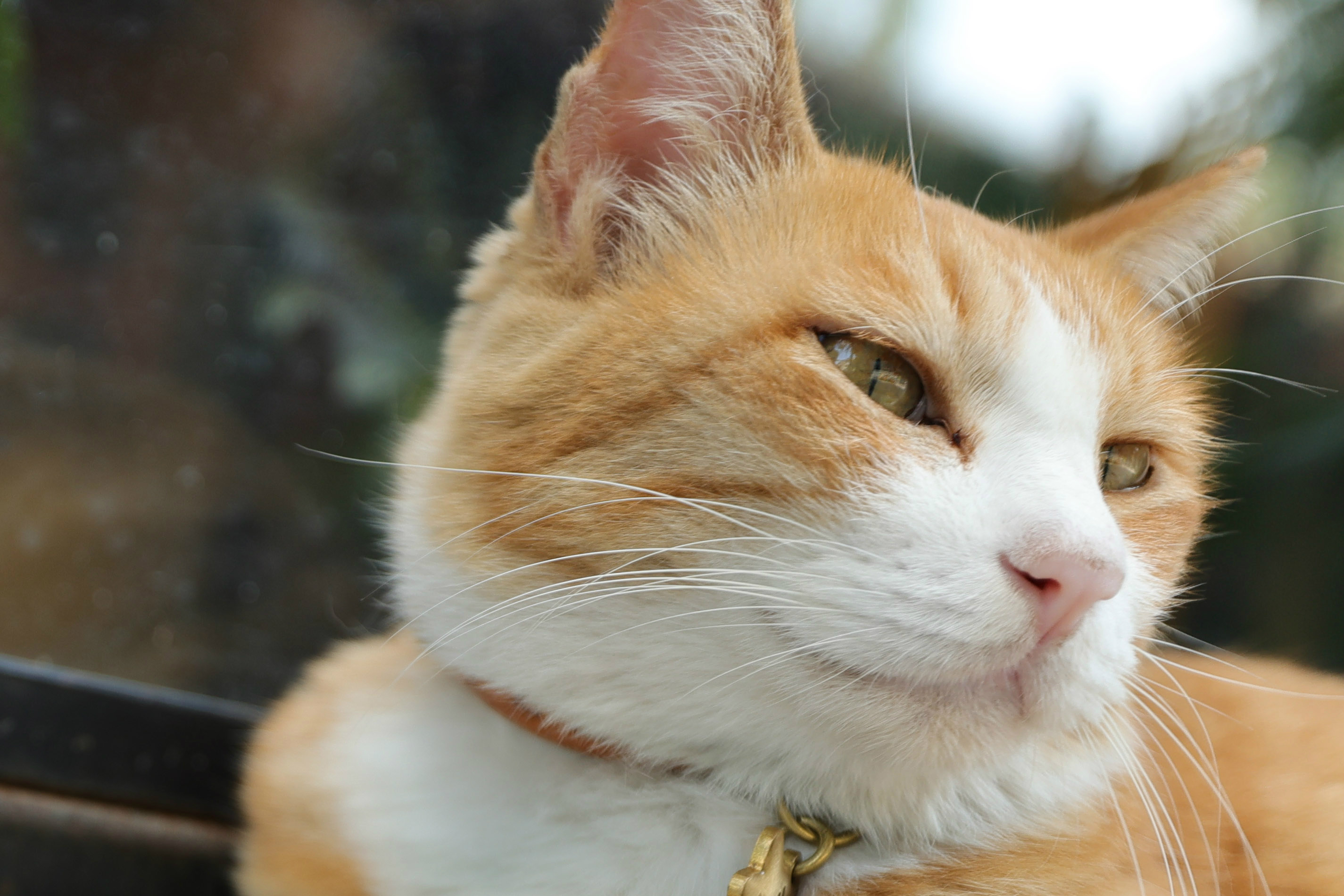 进阶玩家,佳能eosr6上手全画幅微单新标准