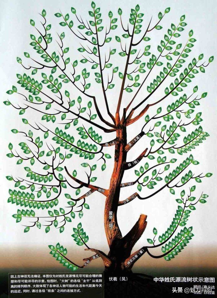 开濮曹徐马氏族谱正文篇,开濮曹徐马氏祭祖