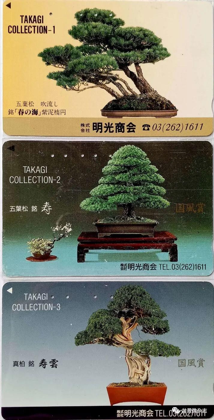 鐩嗘櫙鑱旂郴鐢佃瘽,鐩嗘櫙鑱旂郴鐢佃瘽鍙风爜