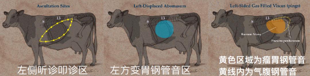 韩铁柱:新产牛疾病防治