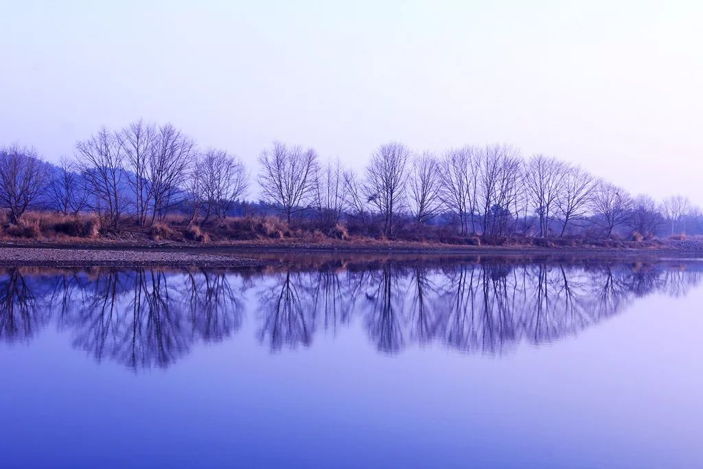 比乌镇安静比南浔古朴,藏不住了这里有最炫秋色