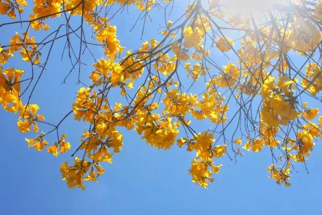 一副千年对联两句人生智慧,一年四季十个字对联