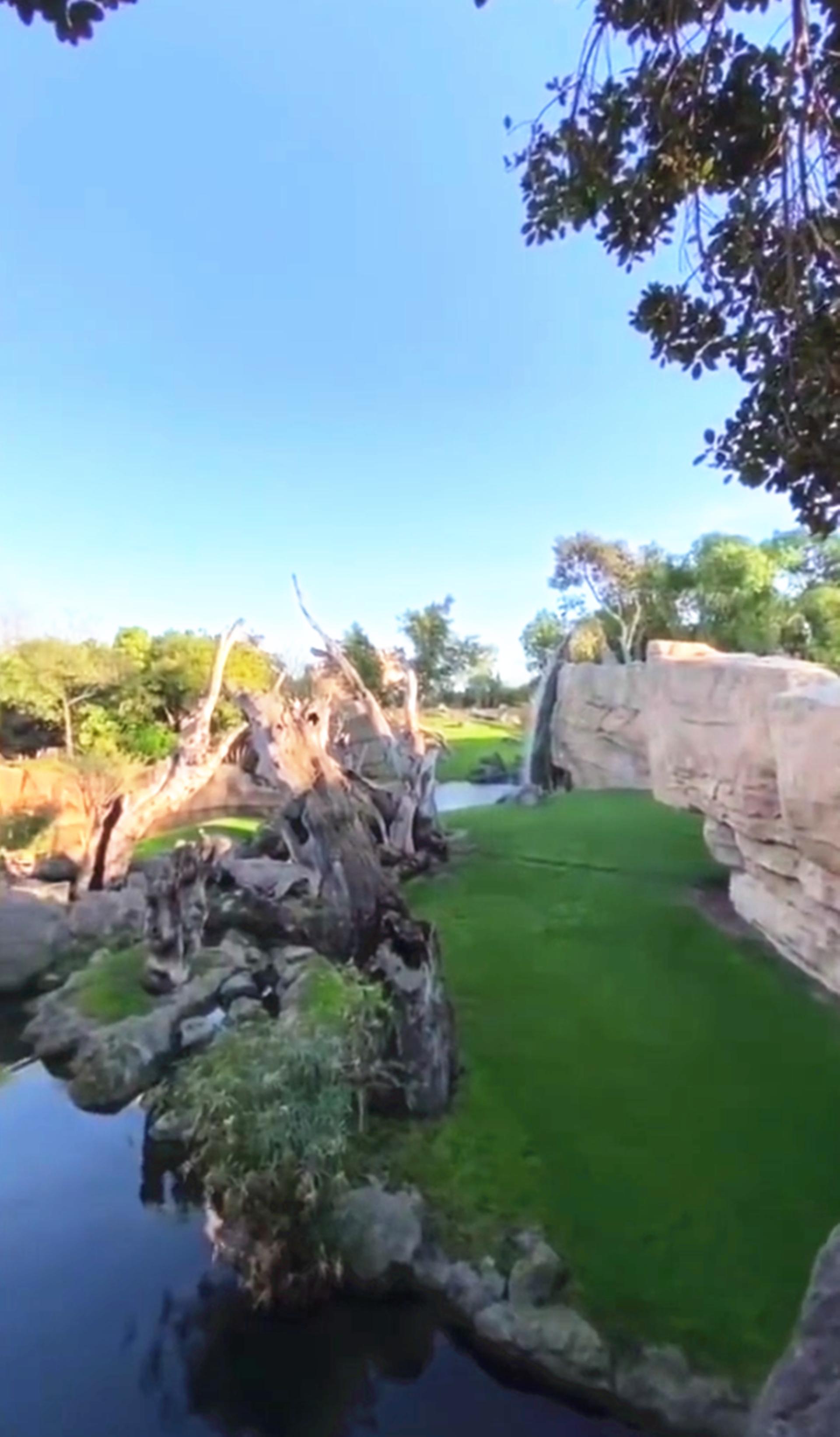 西班牙男子穿越事件,西班牙真人真实事件