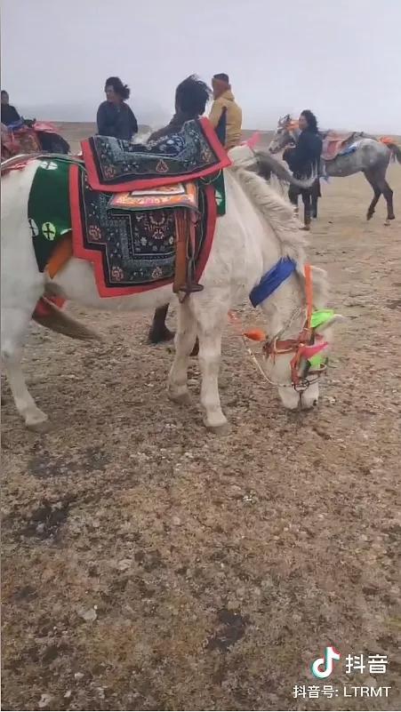 没有丁真，多少人知道理塘？丨地球知识局