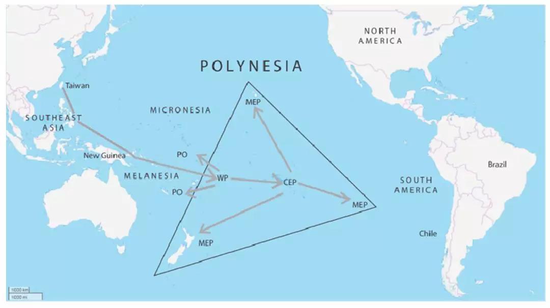 番薯的秘密故事,番薯传奇故事