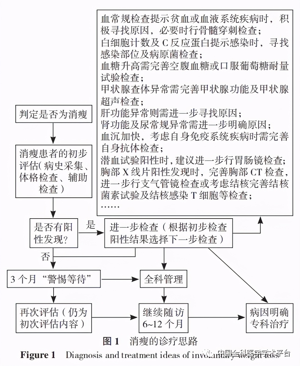 人比黄花瘦深度解析,人比黄花瘦全文阅读