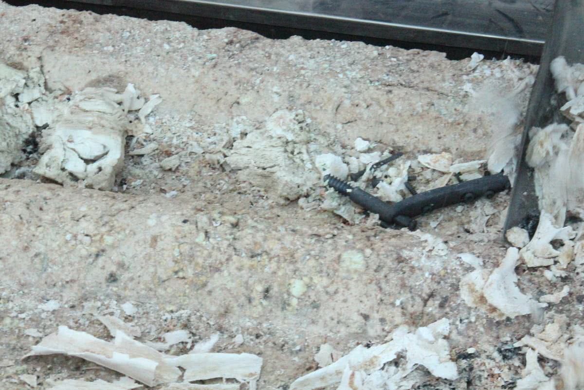 骨灰多年后会变成什么样,骨灰长时间会变成什么样