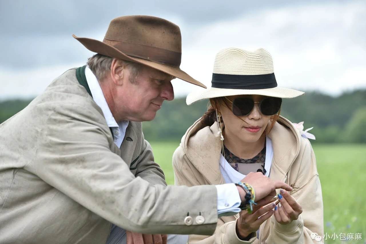 hipp喜宝荷兰版和德国版,喜宝hipp在德国多少钱