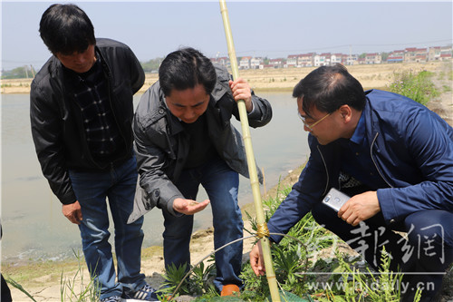 农科专家深入田间地头,科技专家进村春耕
