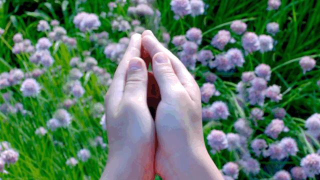 孙正义和马云的界限,马云孙正义近况