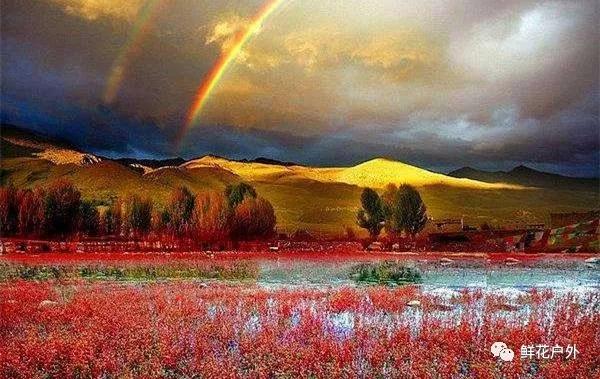 水蓝星球上最后一块净土,水蓝星球上最后一片净土