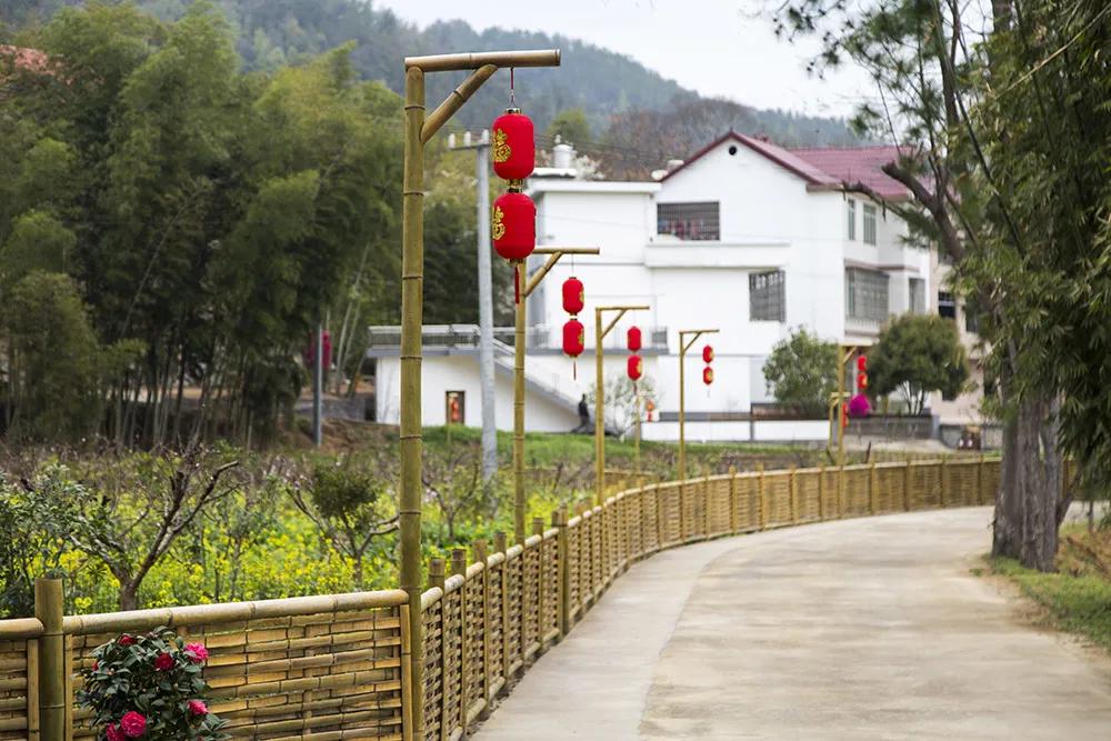 【谁不说咱家乡美】美丽中国，“乡”约万安（河西片）