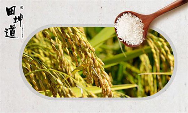 吃生态食物有什么好处,原生态食品和生态食品的区别