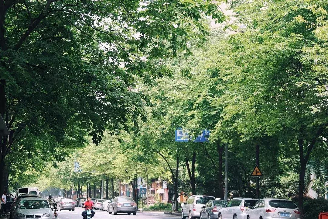 杭州好吃好玩的街区,杭州高端美食街