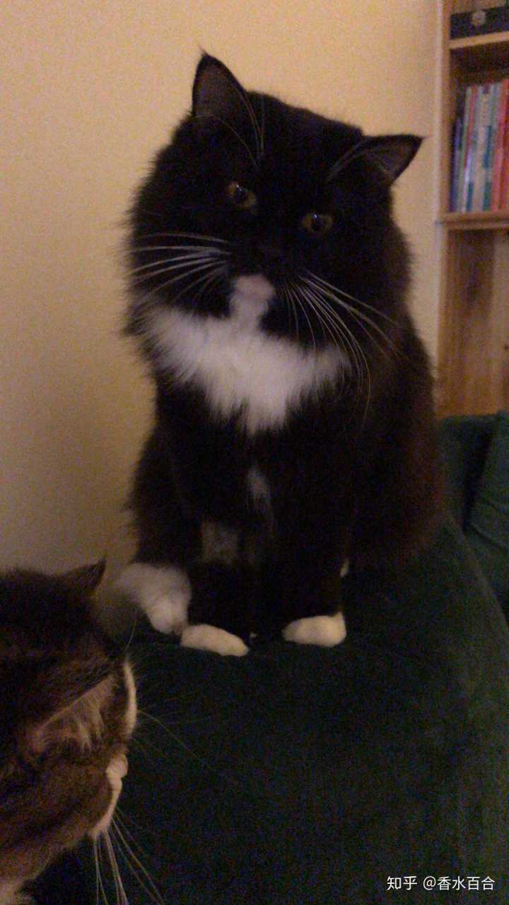 买了高层的人怎么样了,买了顶楼的房子后悔了吗