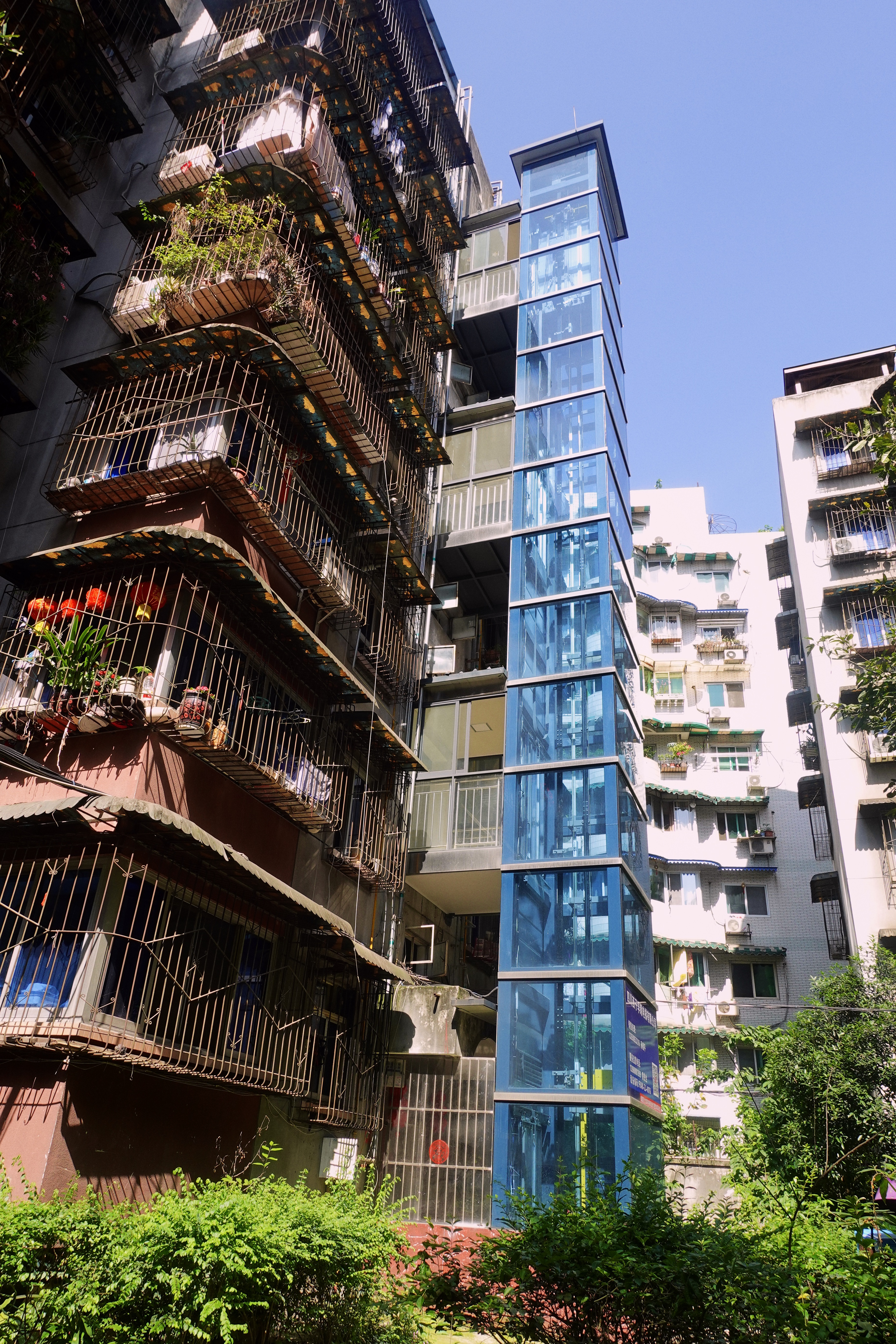 2021幸福感城市成都,2021最具幸福感城市成都