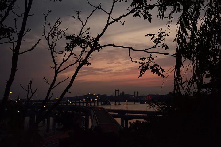 大连旅游攻略精致景点推荐,大连必去的打卡景点