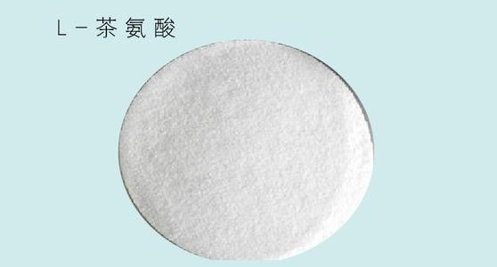 新手训练到底需不需要补剂,训练补剂顺序