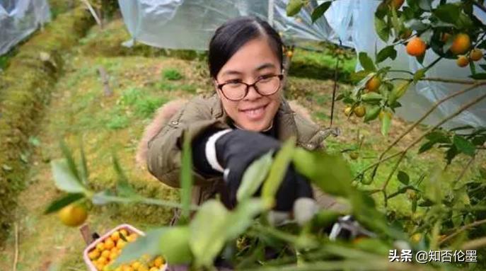 适合穷人的18个创业项目农村创业,农村创业的几大靠谱创业项目