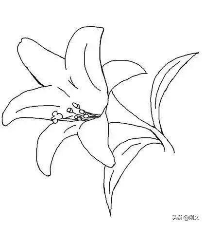 画森林里的小动物和森林的简笔画,数字简笔画1到10创意画小动物