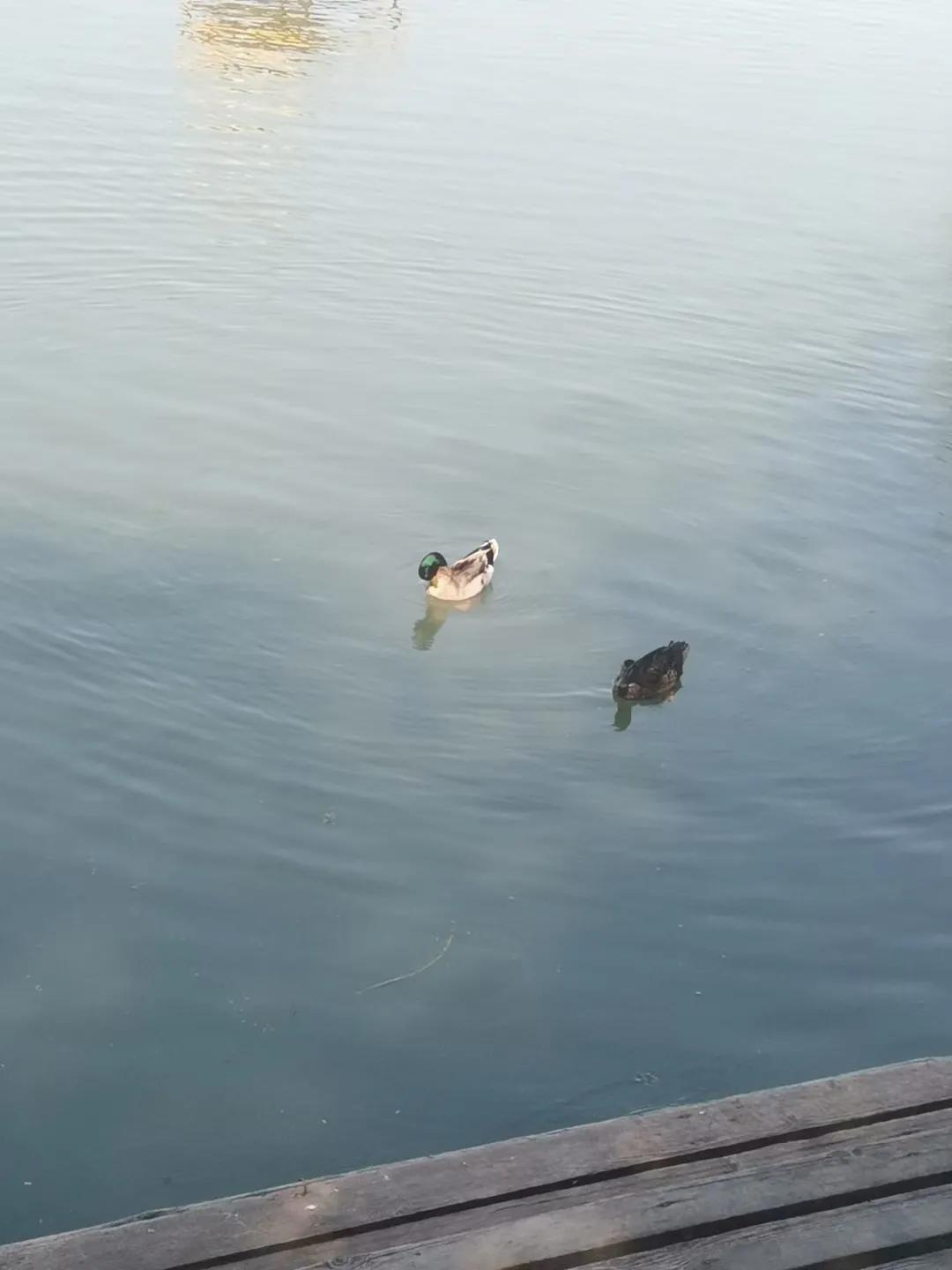 太湖三山岛地理位置,三山岛太湖