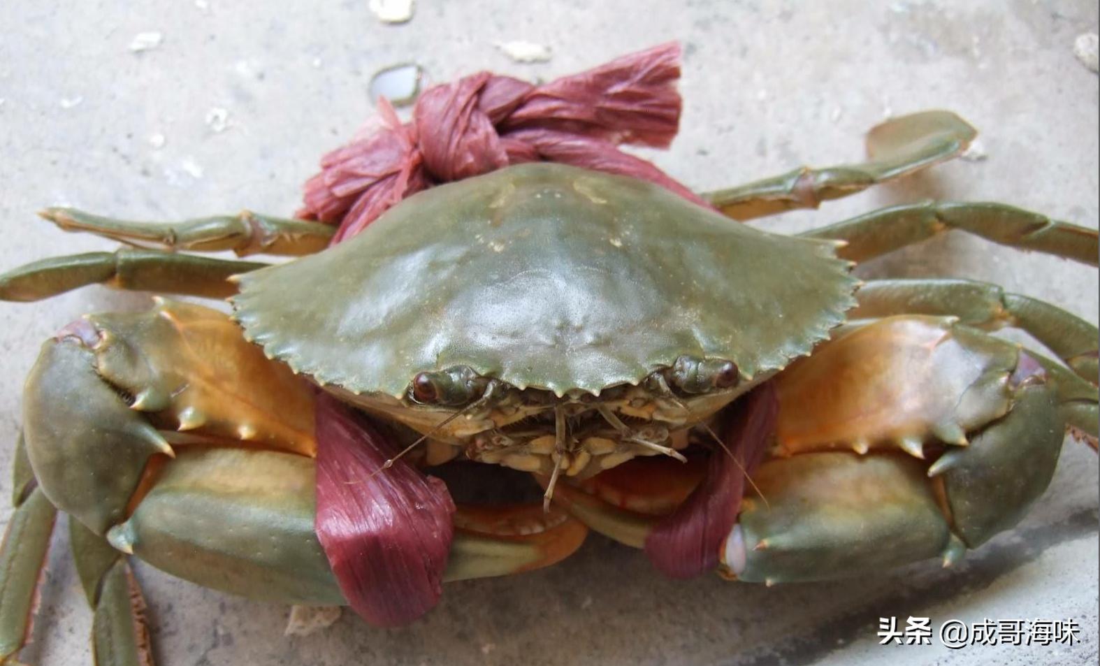 吃海鲜的六大忌你知道吗,吃海鲜不为人知的黑幕