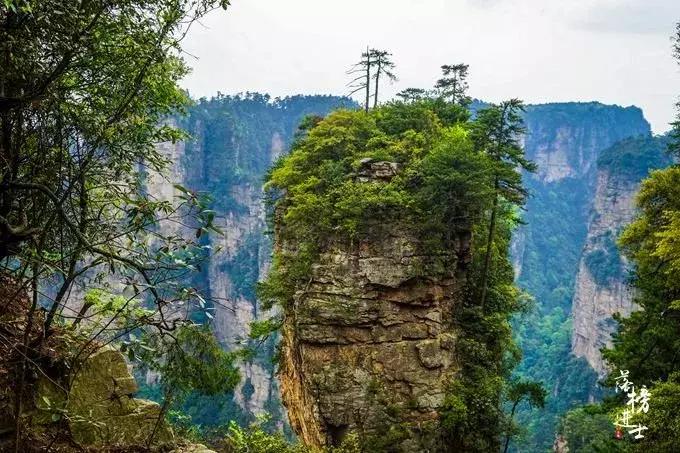去张家界自助游攻略,张家界免门票自助游攻略图片真实