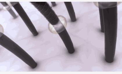 明星推荐的洗发水哪款最好用,明星同款洗发水又顺又香