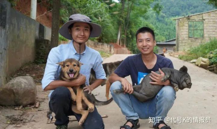 云养殖盈利渠道,互联网云养殖项目