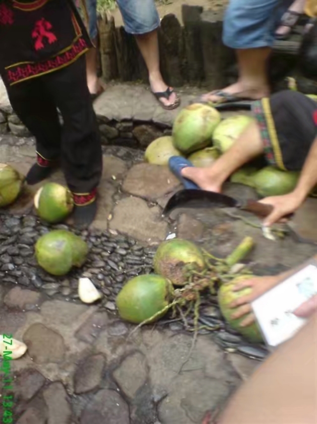 了解海南,我所了解的生活