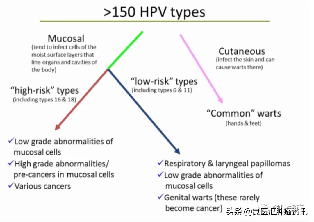 hpv呈阳性能打宫颈癌疫苗么,hpv检查出阳性有可能误诊吗