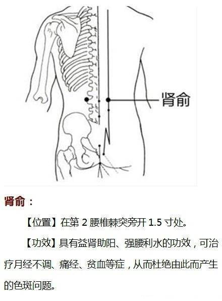 祛斑的最佳穴位示意图,按摩哪个穴位祛斑背部