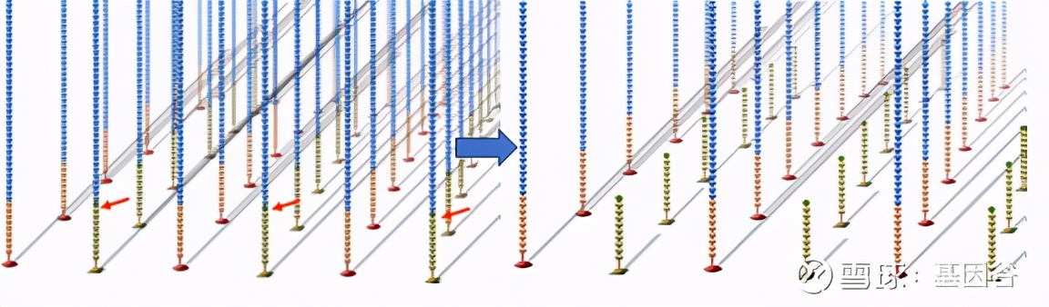 全场硬菜!分子诊断技术全解析