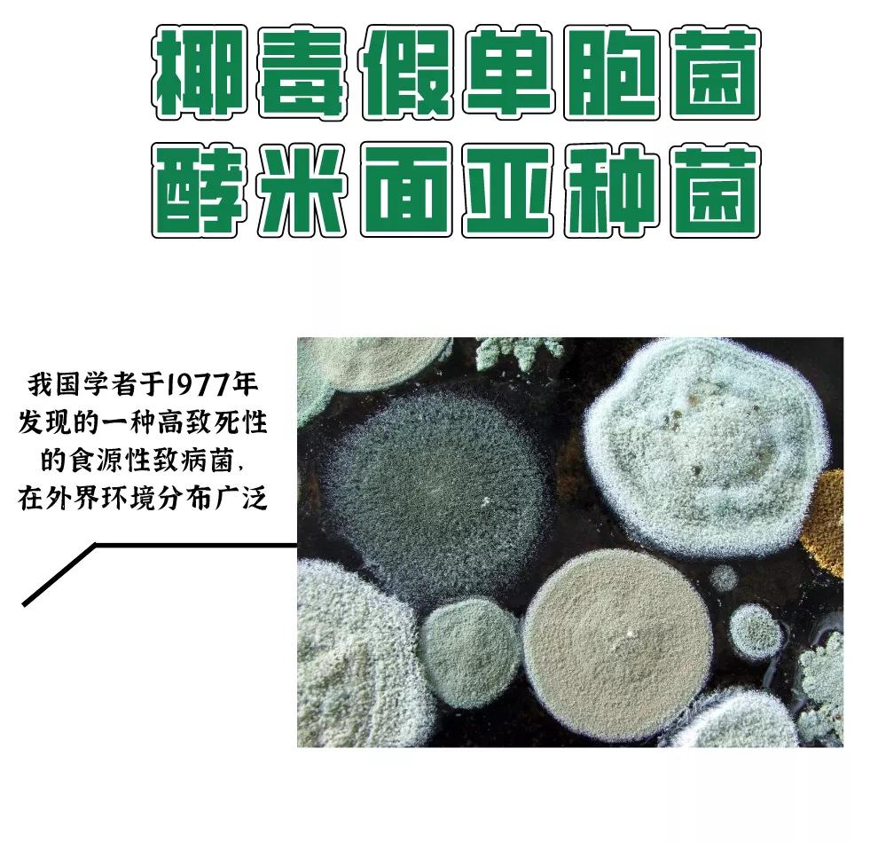 一家8口食物中毒,一家八口食物中毒怎么处理