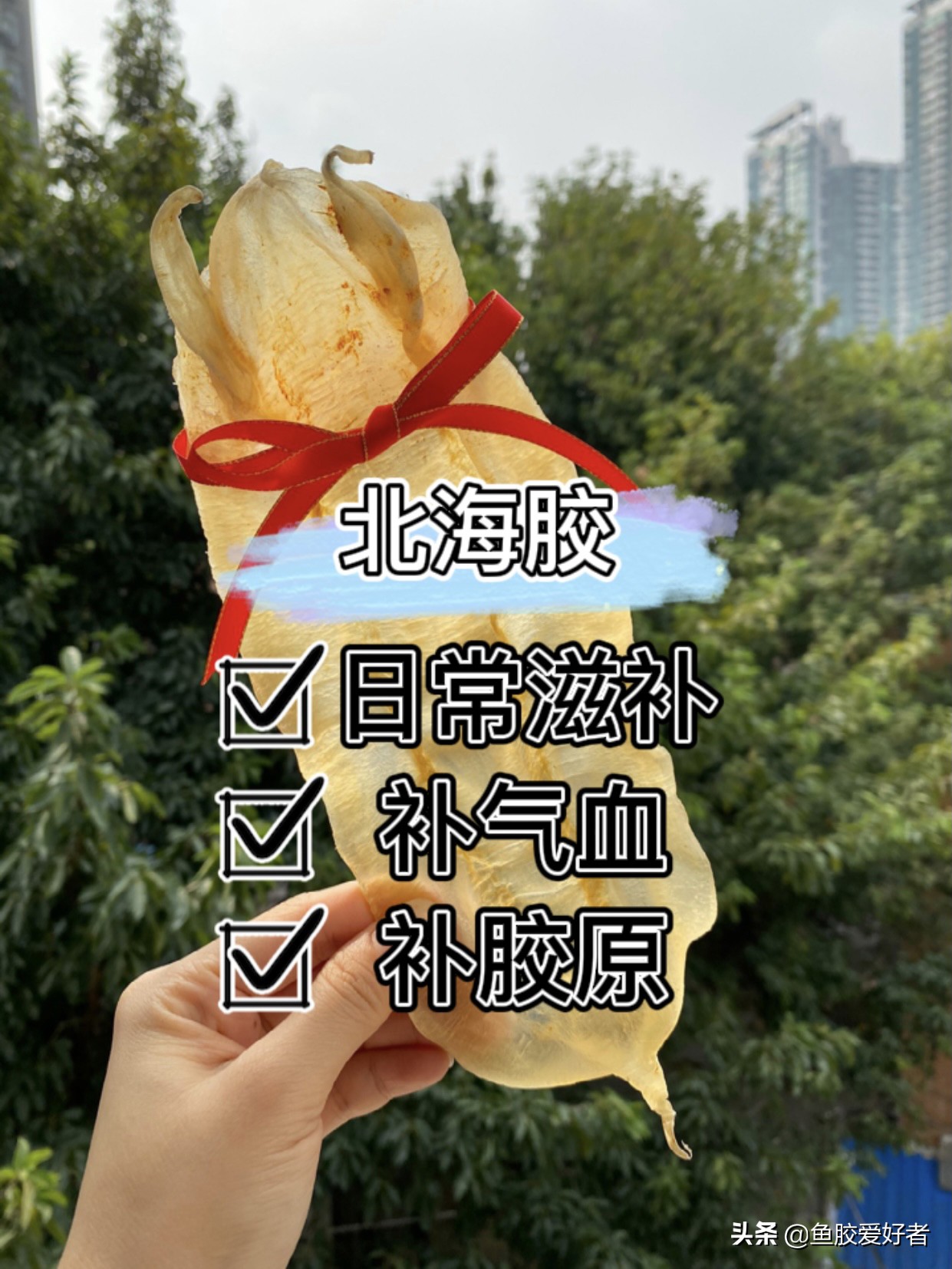 鱼胶网红推荐,今年爆款鱼胶