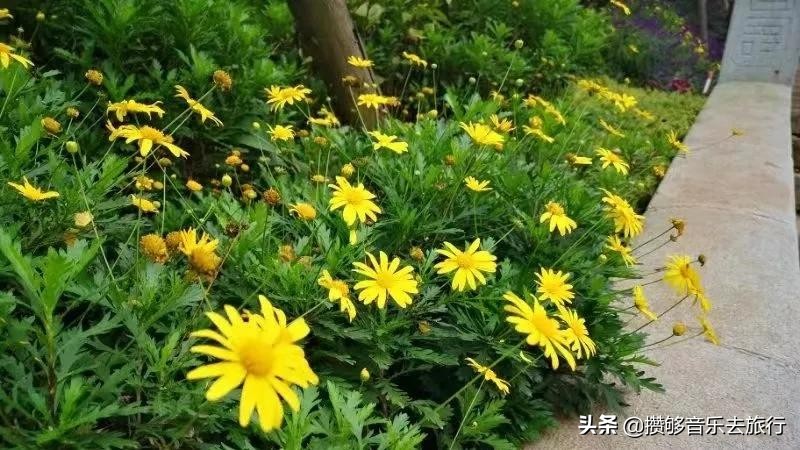 彭祖山在哪里,彭祖山什么时候打造完成