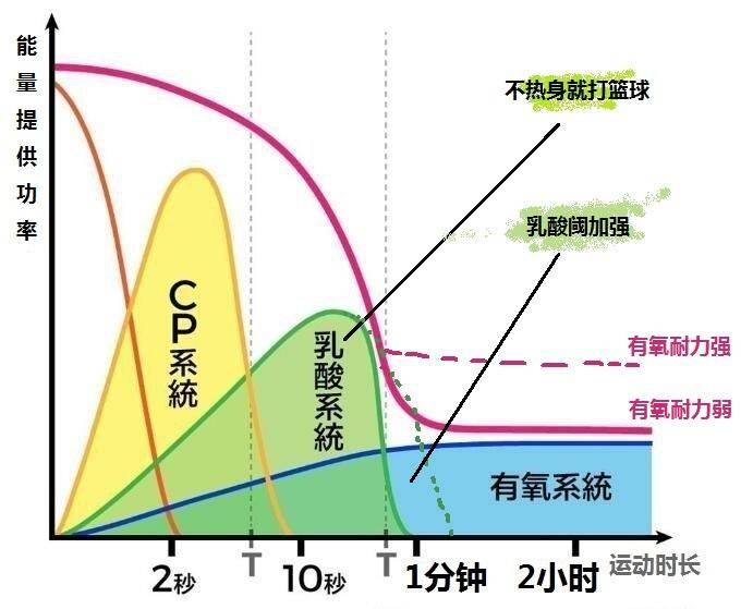 每天打球一小时能瘦肚子吗,每天打球两小时有进步吗