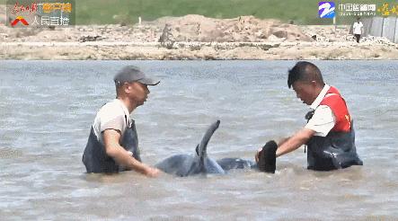 台风烟花过后留下惊人的一幕,台风烟花结局