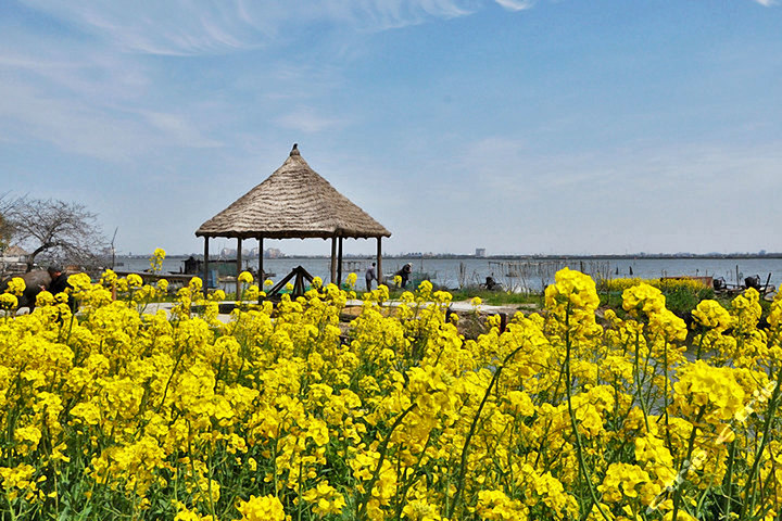 桶装水店卖一桶桶装水能赚多少,一桶桶装水赚多少钱