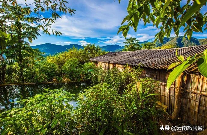 中老铁路昆明到景洪时速多少,中老铁路昆明到景洪多少钱