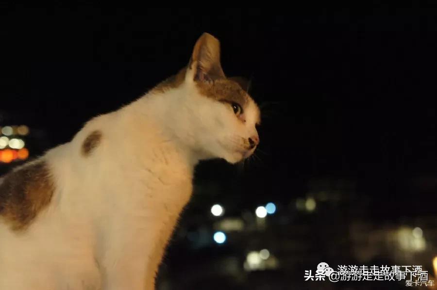 台湾自助游14：台铁小美女、妍希女孩、九份小镇