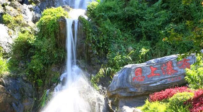 深圳新添大型高颜值公园,深圳最近新开放的公园