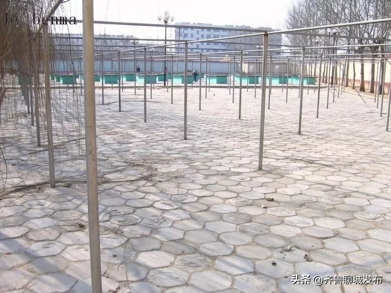 聊城二中历史,十年印象阿布