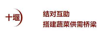 疫情之下保障农产品供应,湖北疫情防控物资自给能力