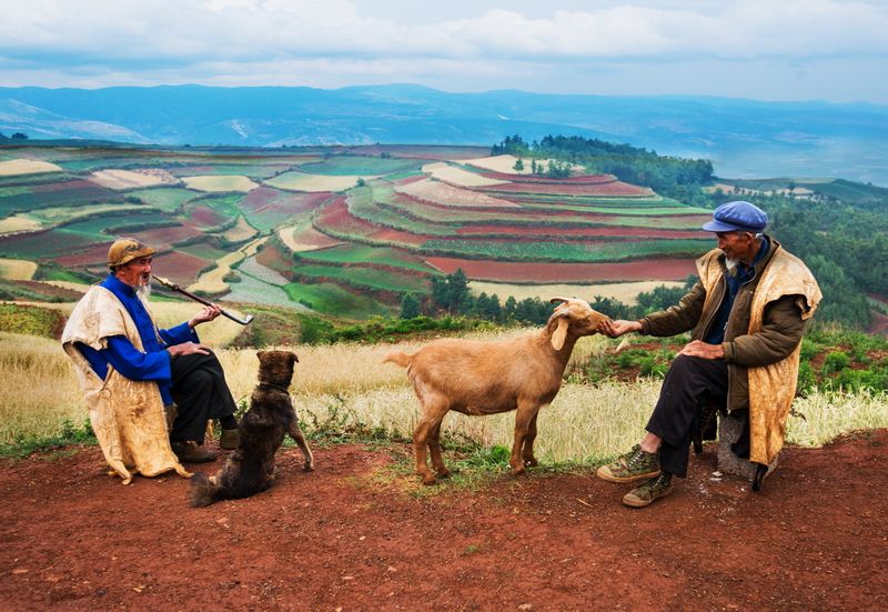 自然之美陶冶人的心灵,用心去感受自然之美