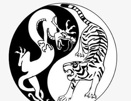 盖房青龙白虎指什么地方,农村建房白虎抬头什么意思