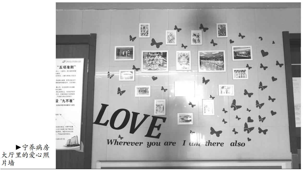 特别关注现场版完整版,特别关注栏目设置