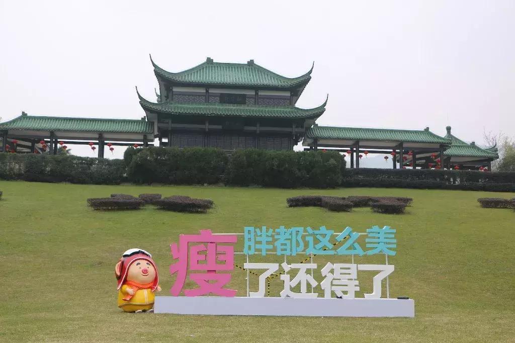 今天,我在宜兴竹海,过传统春节,沾福气满满!