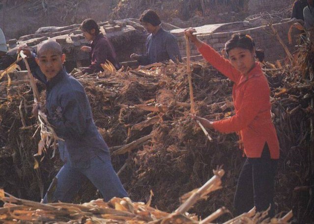 1982版少林寺李连杰录像,李连杰拍少林寺赚了多少钱