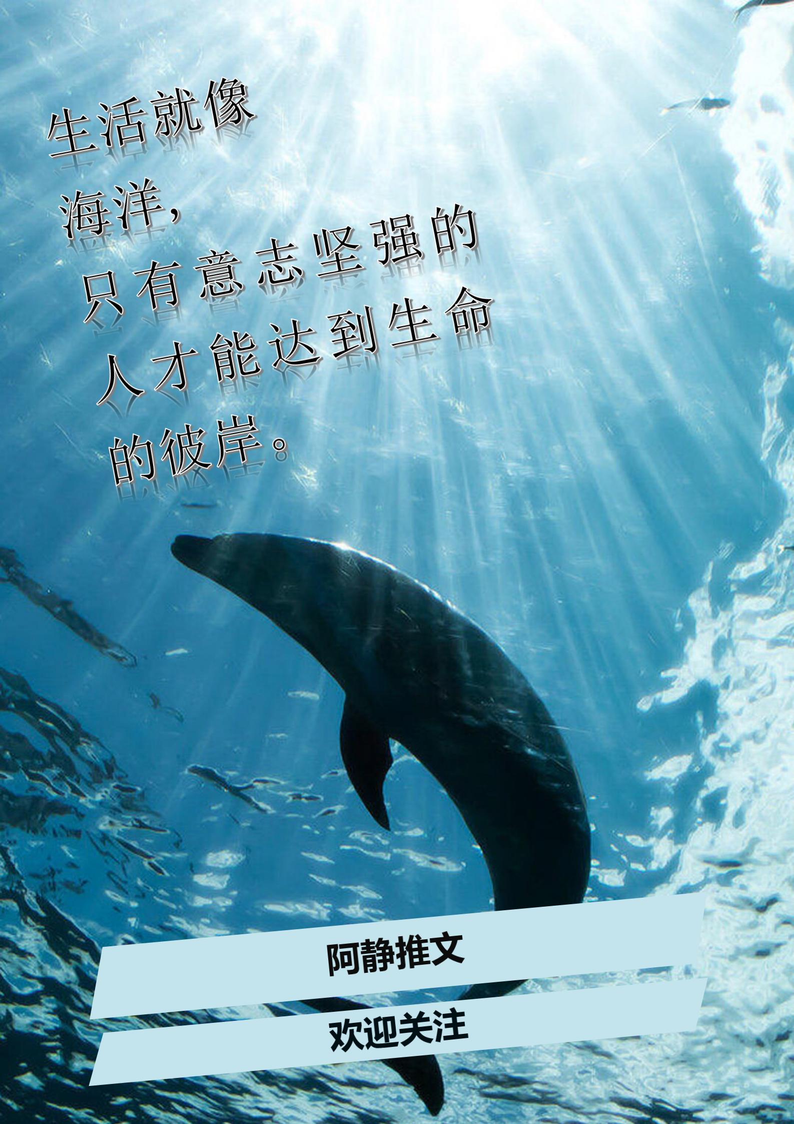 风水相书推荐,经典风水相术玄幻小说排名